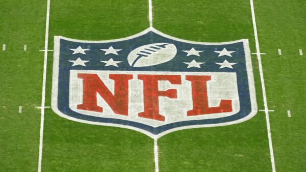 The NFL logo