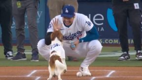 Shohei Ohtani gives high five to his dog